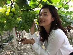 -宁波九龙湖开元度假村