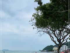 -杨梅坑
