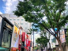 -乐天免税店(明洞店)