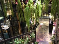 -范设计花园餐酒咖·中西餐·咖啡厅·酒馆