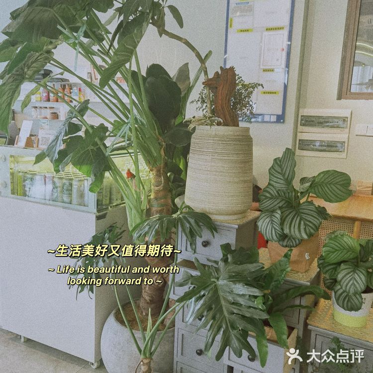 深圳龙岗泰国菜｜上辈子是个萨瓦迪卡