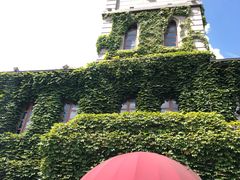 -半岛公馆(淞兴西路店)