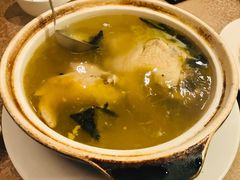 石耳老鸡汤-同庆楼(大钟寺店)