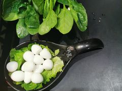 -重庆德庄火锅