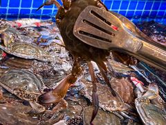 -乔哥铭洋海鲜自助(皇城恒隆广场店)