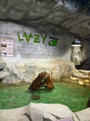 -Zoolung Zoolung动物主题公园(海信广场店)