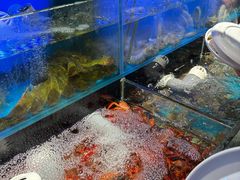 -苏格里岛自助烤肉海鲜火锅(成都金牛万达店)