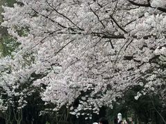 -杭州少年儿童公园
