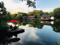 -西溪国家湿地公园