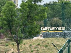 -太原动物园