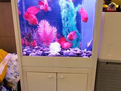 -华声天桥民俗文化园