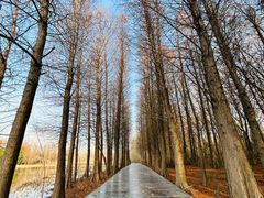 -溱湖国家湿地公园