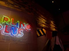-Darling Queen·Mini·Live·House