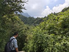 -梦幻奥陶纪景区