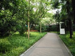 -徐家汇源景区-衡山公园