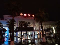 -海口东站
