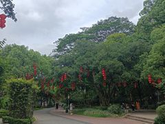 -顺峰山公园
