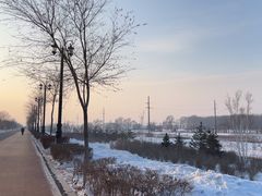 -哈尔滨音乐公园