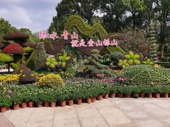 -南山植物园