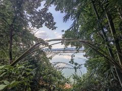 -广州市流溪河国家森林公园