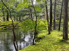 -西芳寺(苔寺)