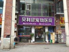 -宠颐生贝利健动物医院(谢家湾分院)
