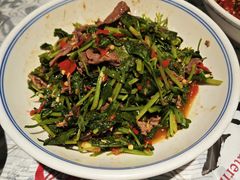 香菜炒牛肉-壹盏灯(蚂蚁工房店)