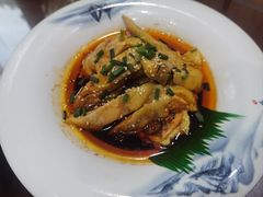 -椿不老