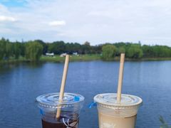 -贡湖湾湿地公园