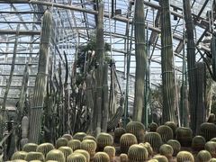 -南山植物园