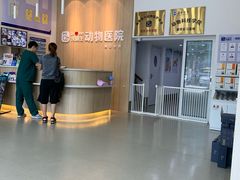 -宠颐生动物医院·猫科·心脏科(海口分院)