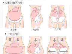 -爱月宝月嫂·育儿嫂(哈尔滨总店)