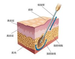 -成都军建医院·医疗整形