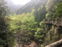 -花岩国家森林公园