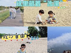 -东郊湿地公园