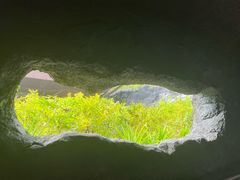 -新加坡飞禽公园