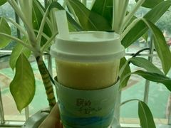 -茶理宜世(东方宝泰店)