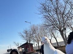 -天津妈祖文化园