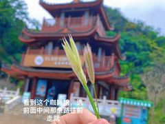 -普者黑风景区-青龙山