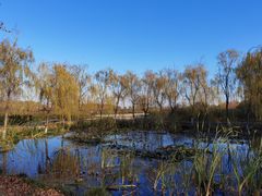 -永定河休闲森林公园