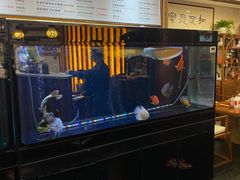 -长赢养生(平度店)