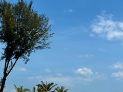 -玫瑰海岸文化旅游度假区