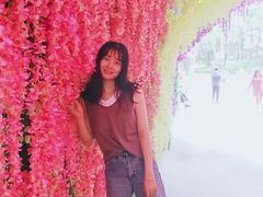 -泰安方特欢乐世界