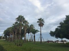 -大丰苑(海韵店)