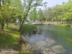 -苏州金鸡湖大酒店