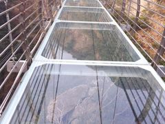 -宁波五龙潭景区