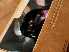 -EnergyCake蛋糕理想国