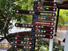 -荔湾湖公园