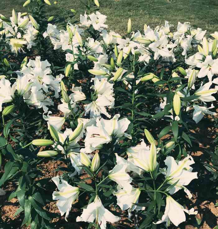 服务态度巨差,让加饭也不加,特别小气