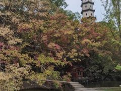 -江心屿景区